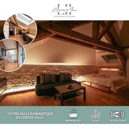 Evasion Chic, Spa Et Sauna Sous Les Toits Nancy Exterior foto